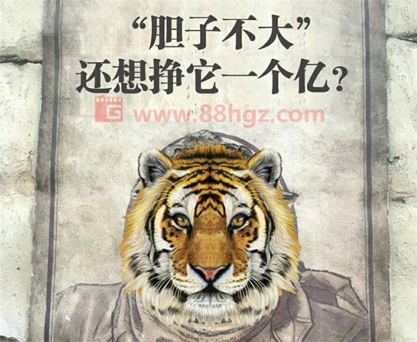 還能更高嗎？與迪瑪希共鳴的，是我們追隨企業(yè)宣傳片的信仰